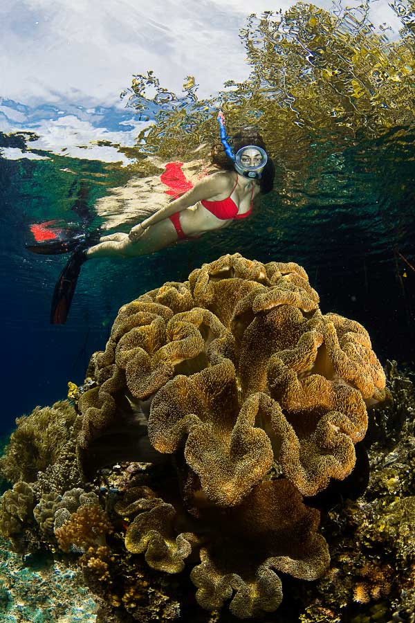 a lady in a red bikini while snorkeling in Raja Ampat with Papua Explorers