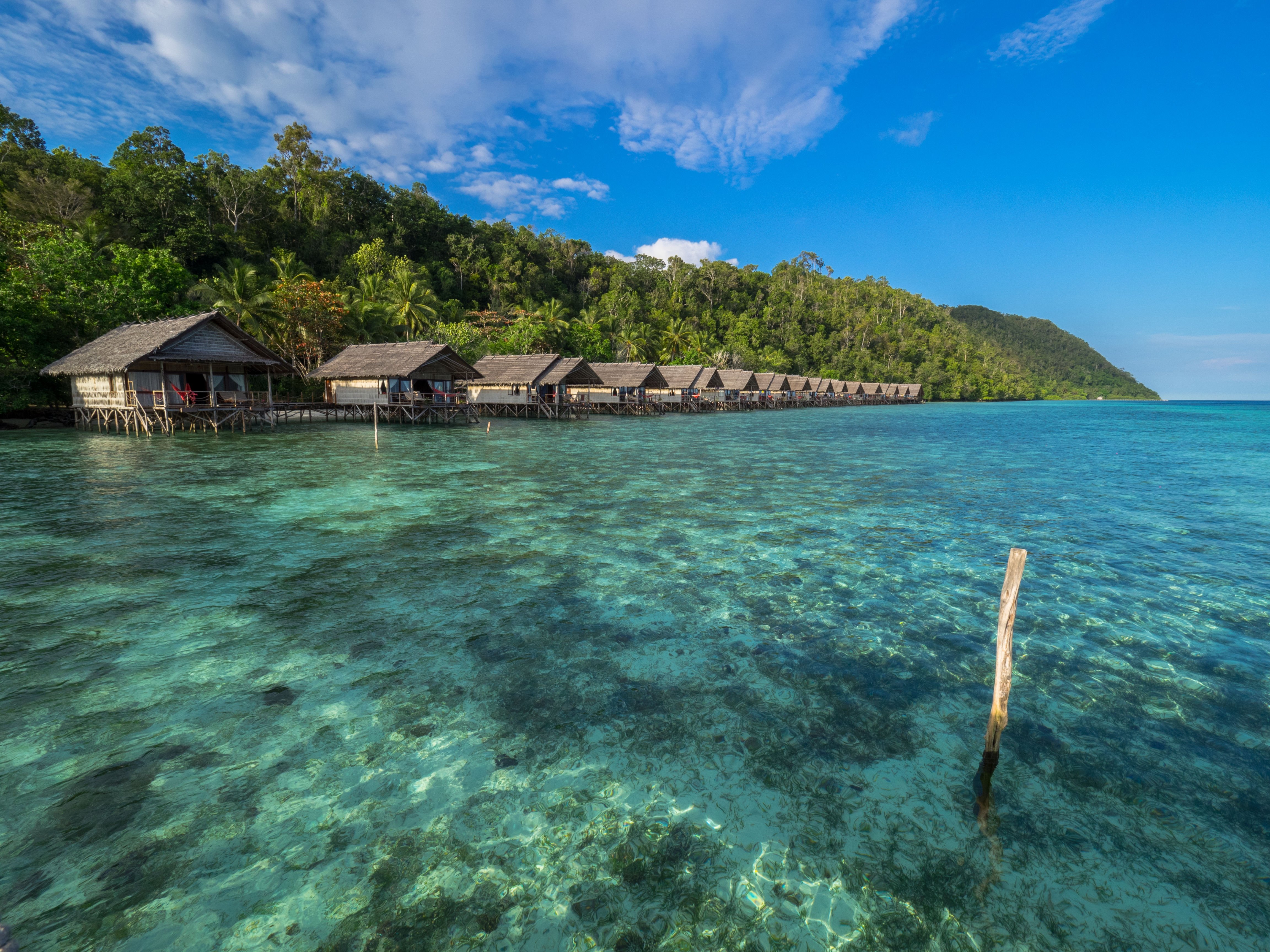 raja ampat dive resort bungalow 9