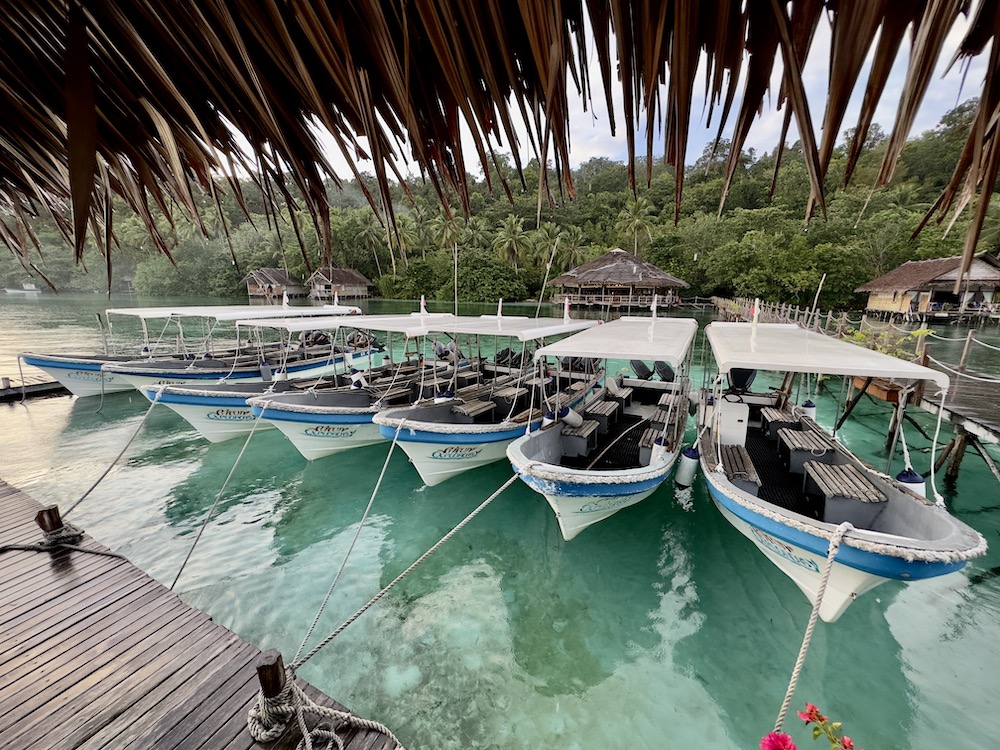 Diving Boat, sundeck and spa in the background at Papua Explorers in Raja Ampat