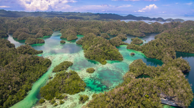 Papua Explorers Reopening for Domestic Tourism
