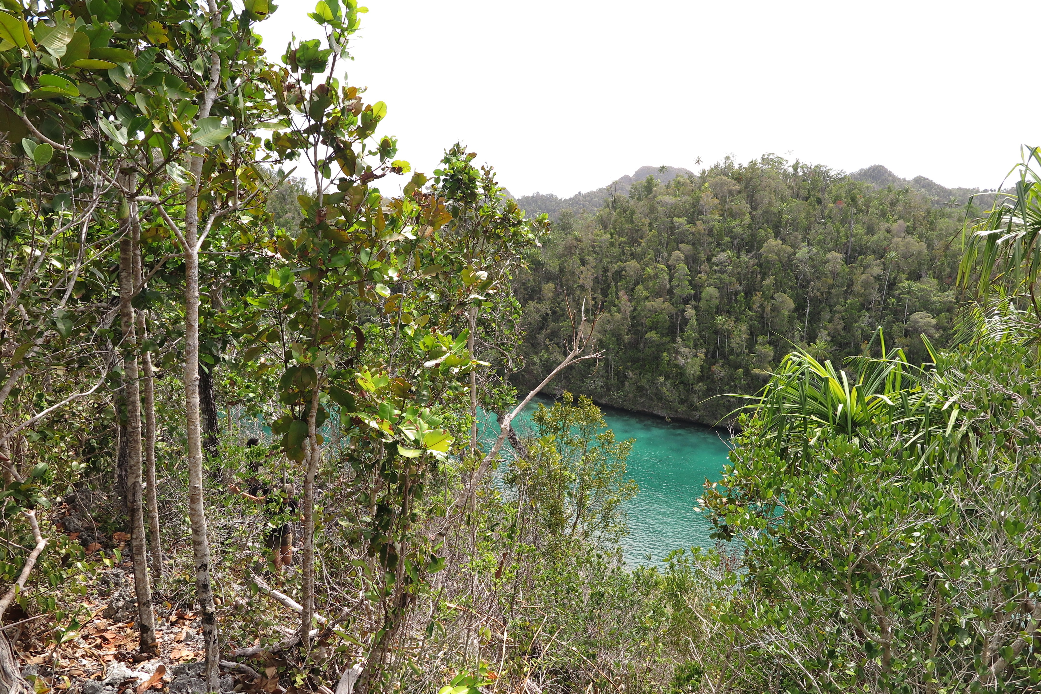 climbing up to the viewpoint on the wayag islands
