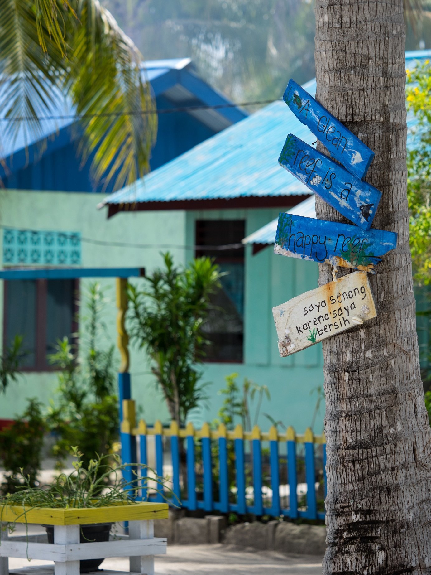 blue painted houses in Arborek with a colorful fence and a tree with signs reminding to treat the reefs with care observed on a break in between dives with Papua Explorers Dive Resort