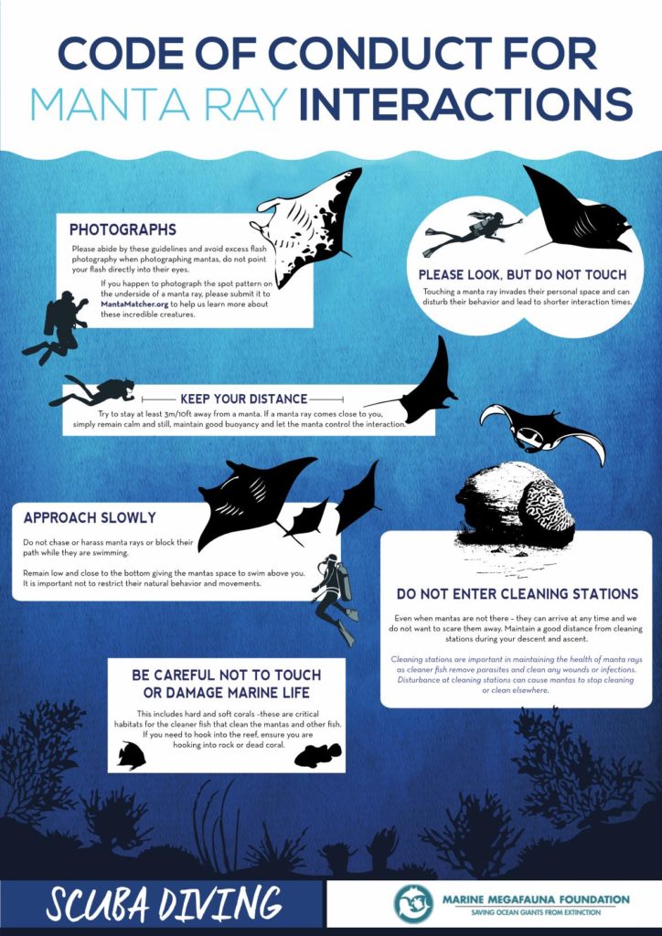 graphic showing the rules for interaction with manta rays in raja ampat