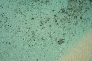 snorkeling the reefs at Raja Ampat