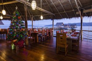 Christmas tree at our restaurant in Raja Ampat