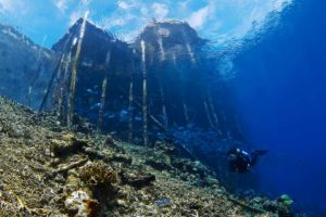 scuba diver underwater underneath a jetty surrounded by fish