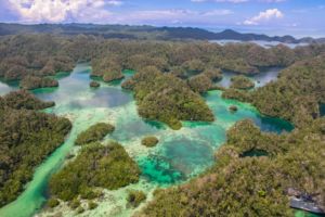 Aerial View of the hidden bay