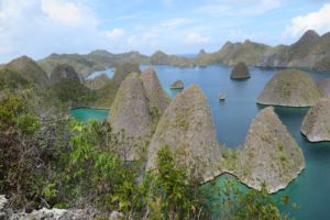 ocean and island panorama in raja ampat