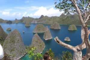 beautiful view in Wayag, Raja Ampat