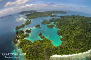 the Fam or Penemu islands from above grown over by lush rainforest on a day trip with Papua Explorers Dive Resort