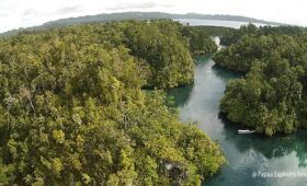 Image of diving site The Passage at Raja Ampat