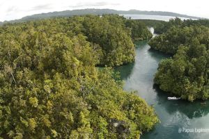 Image of diving site The Passage at Raja Ampat