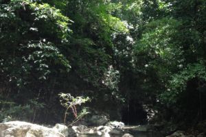 the river on Batanta island that we walk up on the way to the waterfall on our daytrip