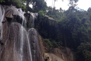 the jungle above the waterfall on Batanta island in Raja Ampat