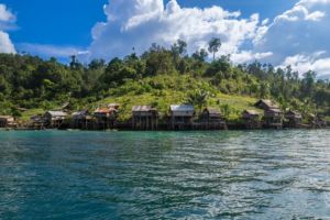 group of wooden houses of a local village built against the rocky shore cliff with rainforest in the background on a trip with Papua Explorers