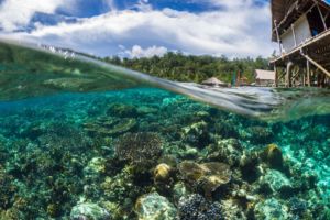 half under water and half above showing the reef top of the Papua Explorers house reef with our dive center, main jetty and restaurant in the background