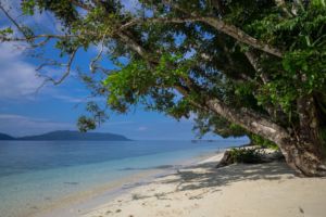 white sand beach with trees leaning over it and ocean and islands in the background close to Papua Explorers Dive Resort