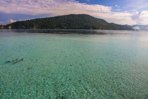 Snorkeling in front of Kri Island at Raja Ampat in between dives