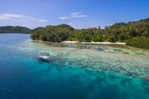 An Unfinished Jetty on Gam Island close to Papua Explorers Dive Resort