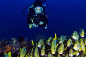 raja-ampat-diving-conservation
