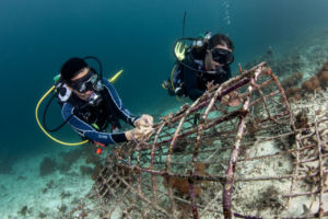 two scuba divers fixing coral fragements on a structure, coral conservation during Raja Ampat lockdown