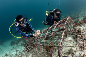 (English) two scuba divers fixing coral fragements on a structure, coral conservation during Raja Ampat lockdown